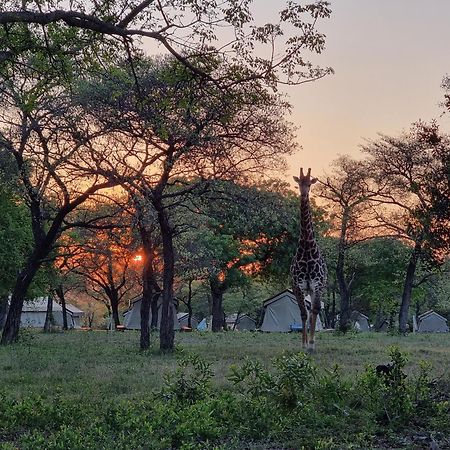 Unyati Safari Lodge Hectorspruit Kültér fotó