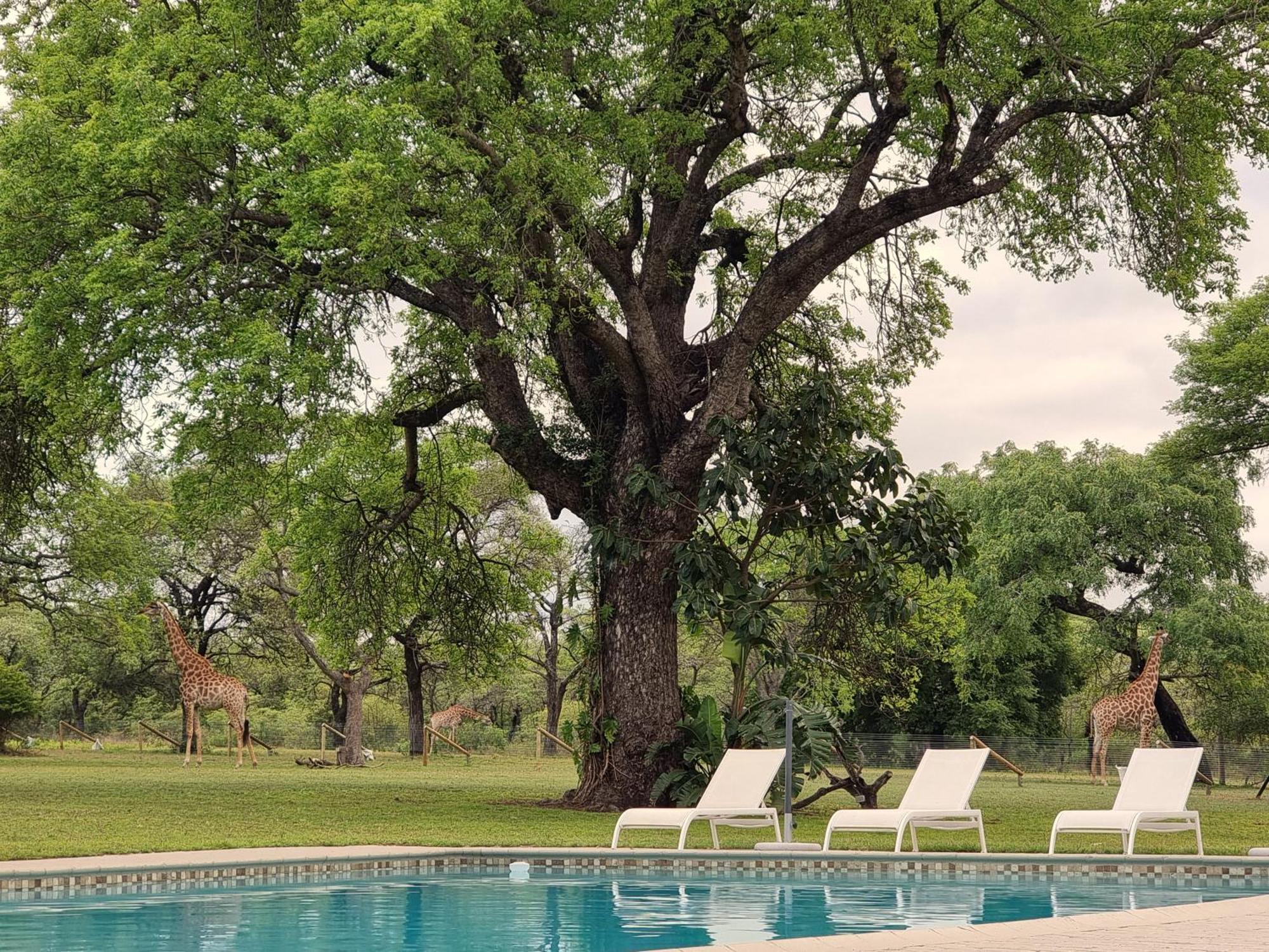 Unyati Safari Lodge Hectorspruit Kültér fotó