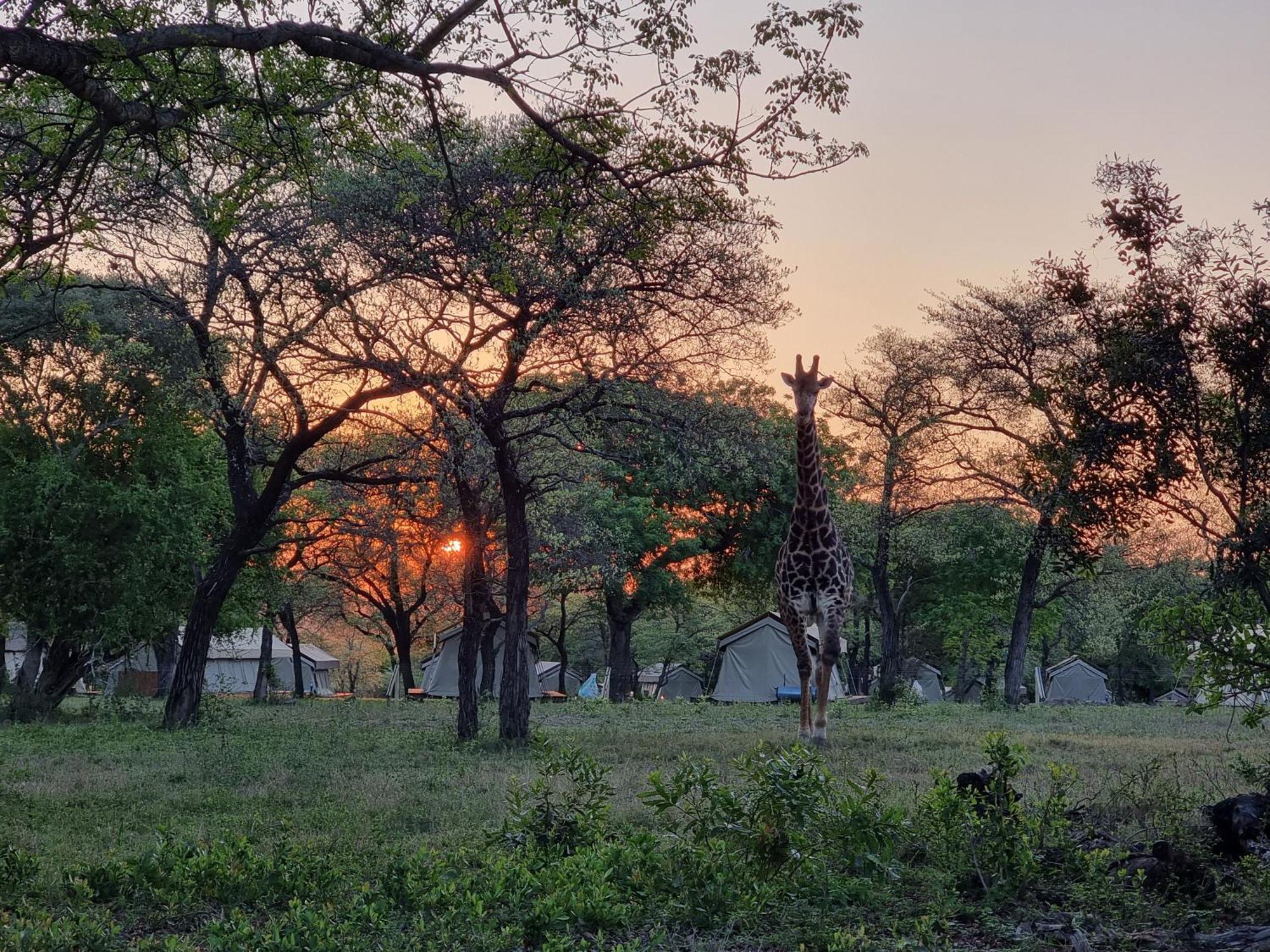 Unyati Safari Lodge Hectorspruit Kültér fotó