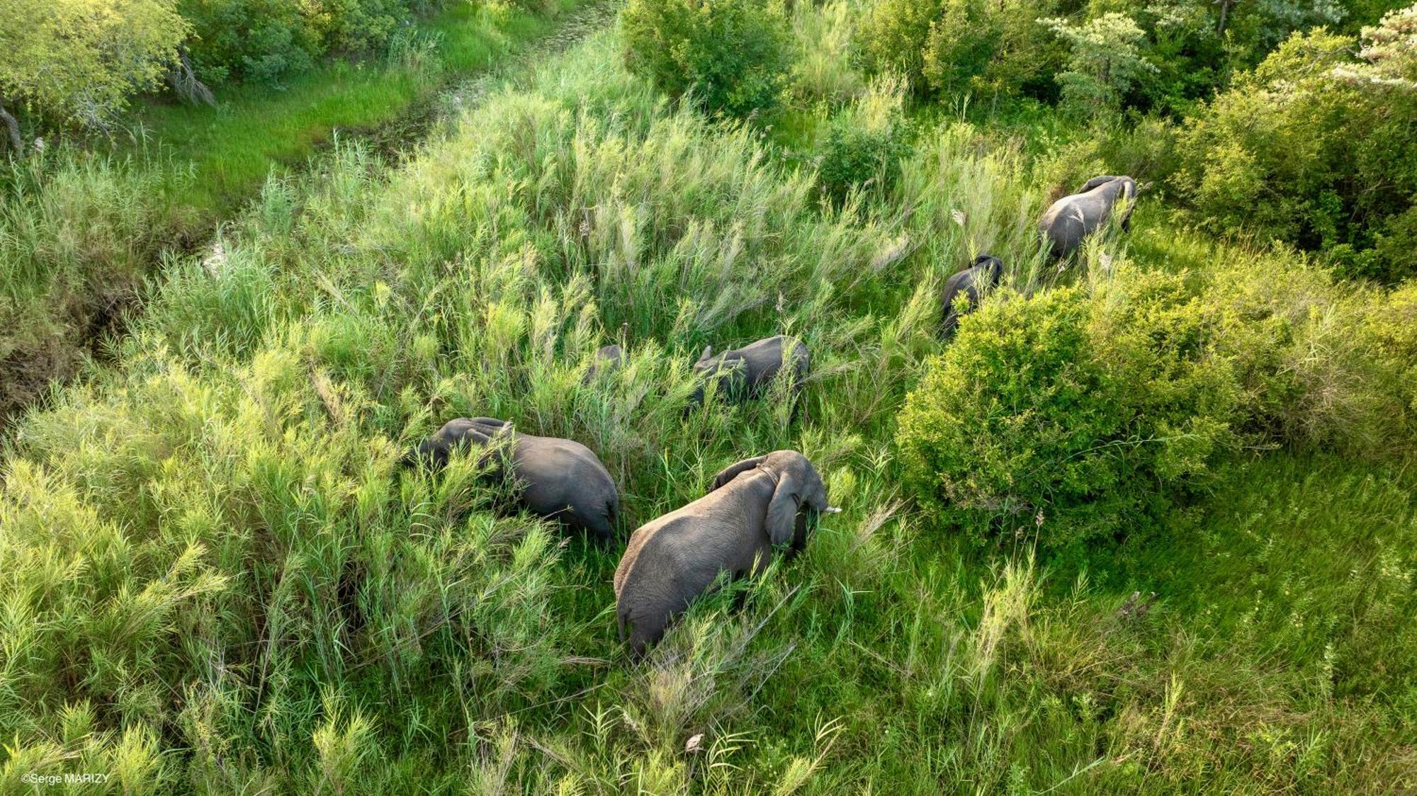 Unyati Safari Lodge Hectorspruit Kültér fotó
